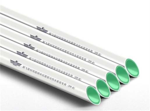 ���wPPR�p��������